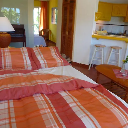 Typ B By Interhome Apartment
